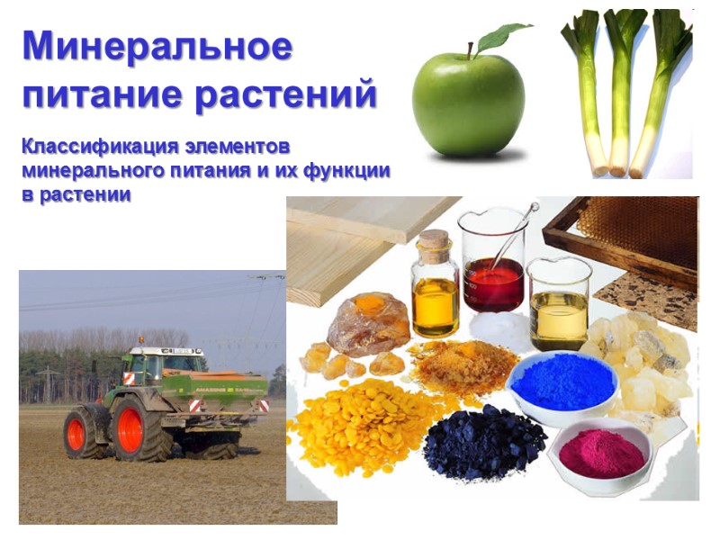 Минеральное  питание растений  Классификация элементов минерального питания и их функции в растении